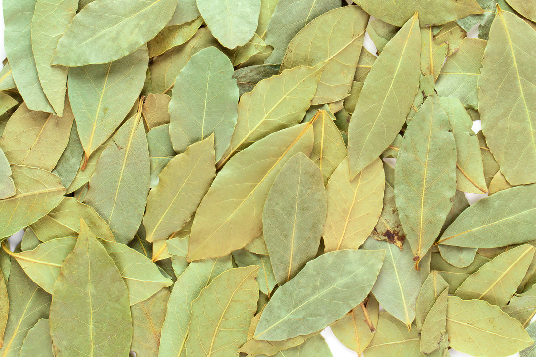 Bobkový List: Kľúčový Základ Pre Každú Hlbokú Chuť a Vývar